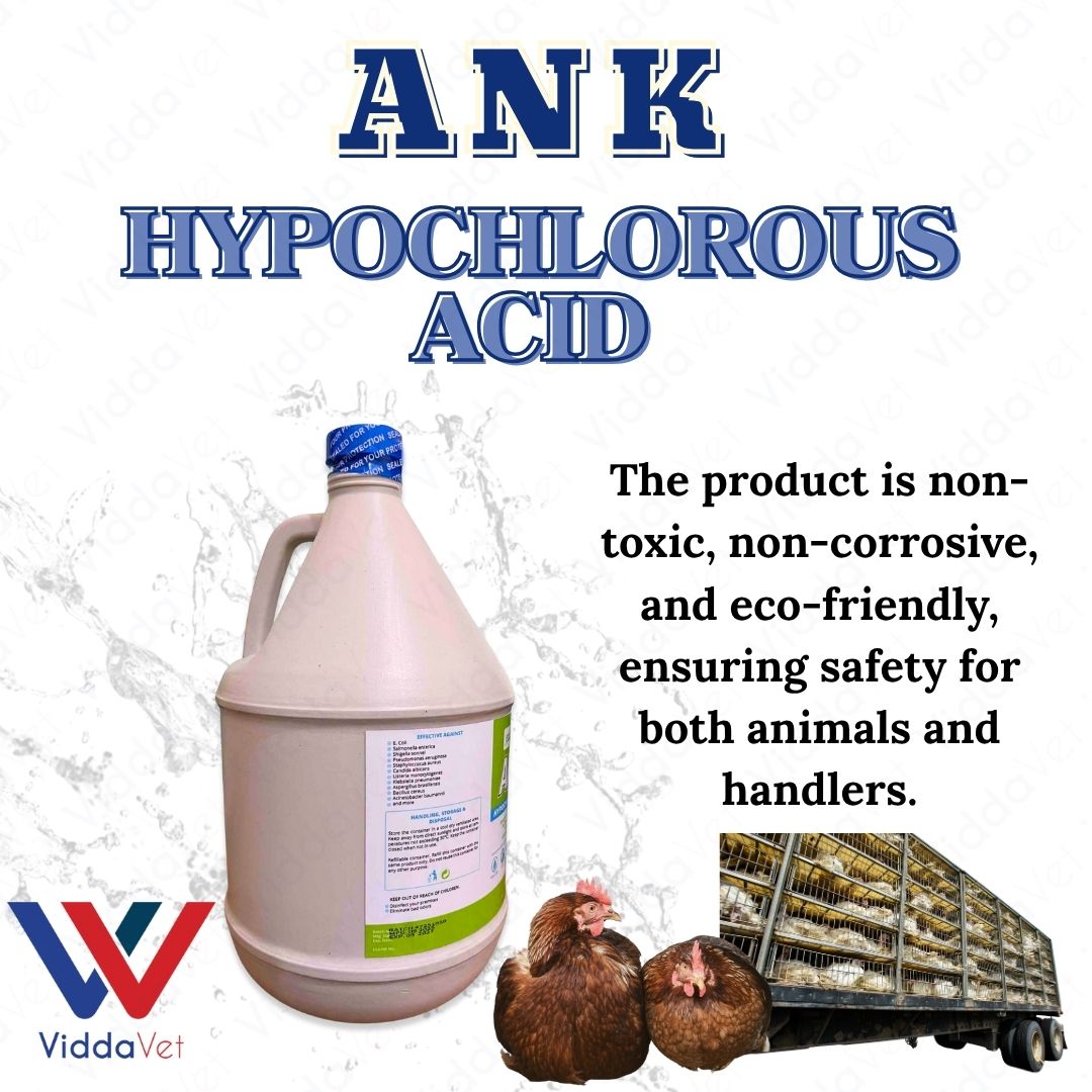 ANK Hypochlorous Acid Solution Disinfectant