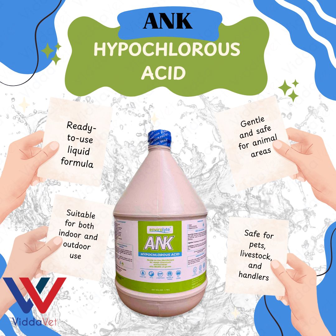 ANK Hypochlorous Acid Solution Disinfectant