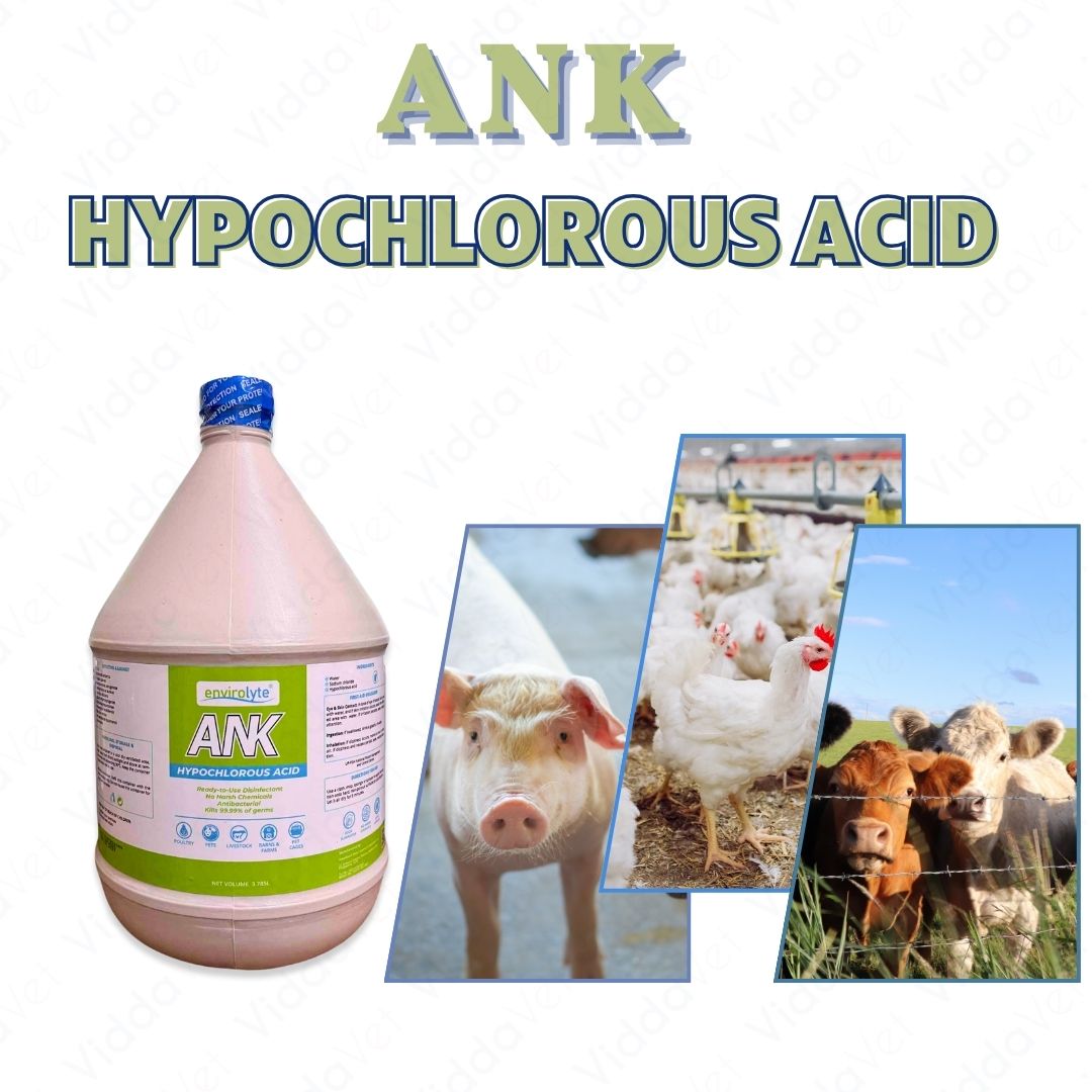 ANK Hypochlorous Acid Solution Disinfectant