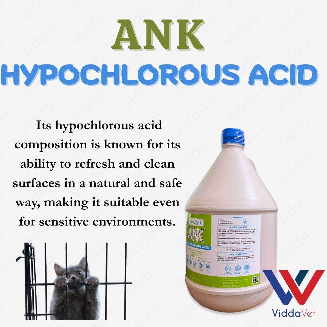 ANK Hypochlorous Acid Solution Disinfectant