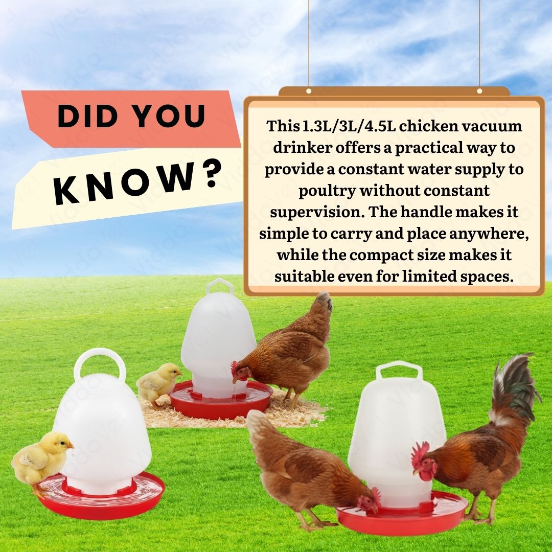 Poultry Vacuum Drinker Durable Plastic Water Feeder for Backyard Chickens and Gamefowl