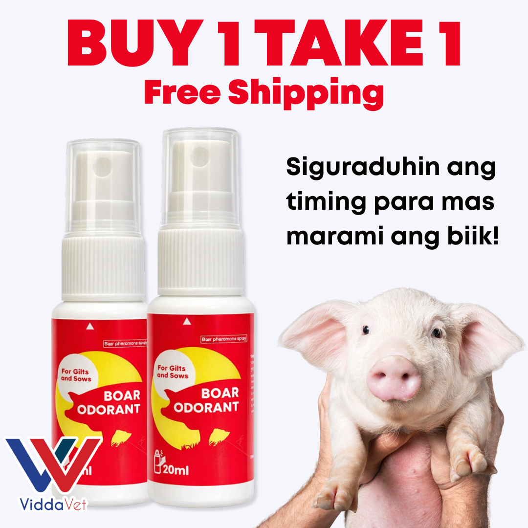 Boar Odorant 20ml Buy 1 Take 1