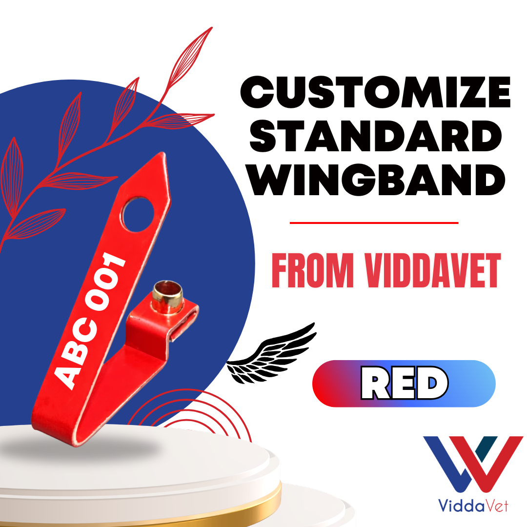 WINGBAND BLANK STANDARD-RED