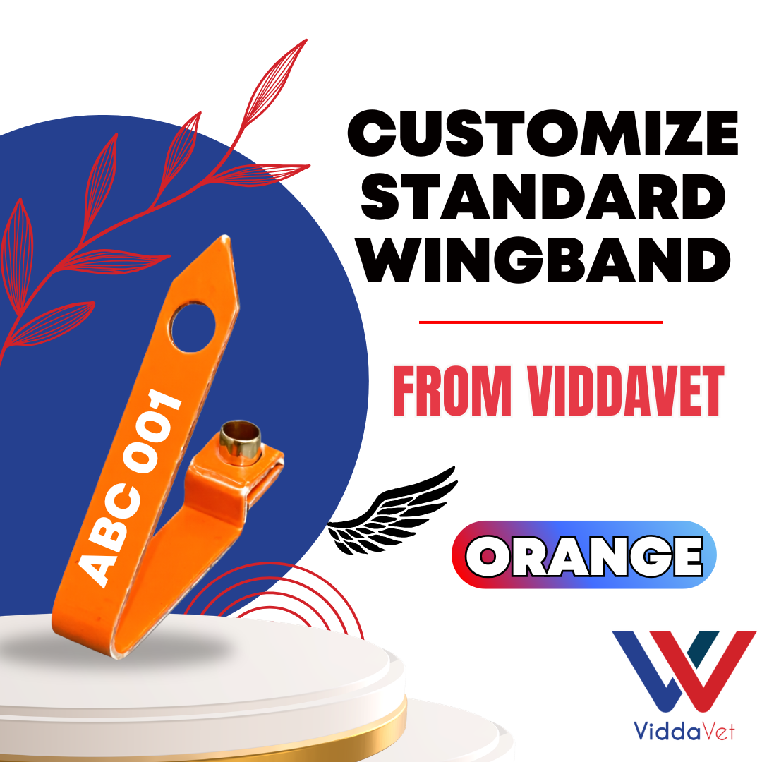 WINGBAND BLANK STANDARD-ORANGE