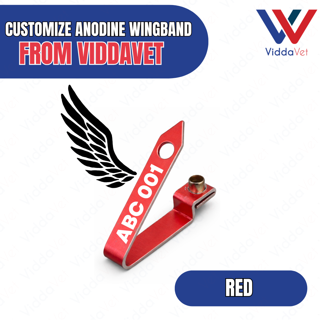 WINGBAND BLANK ANODINE-RED