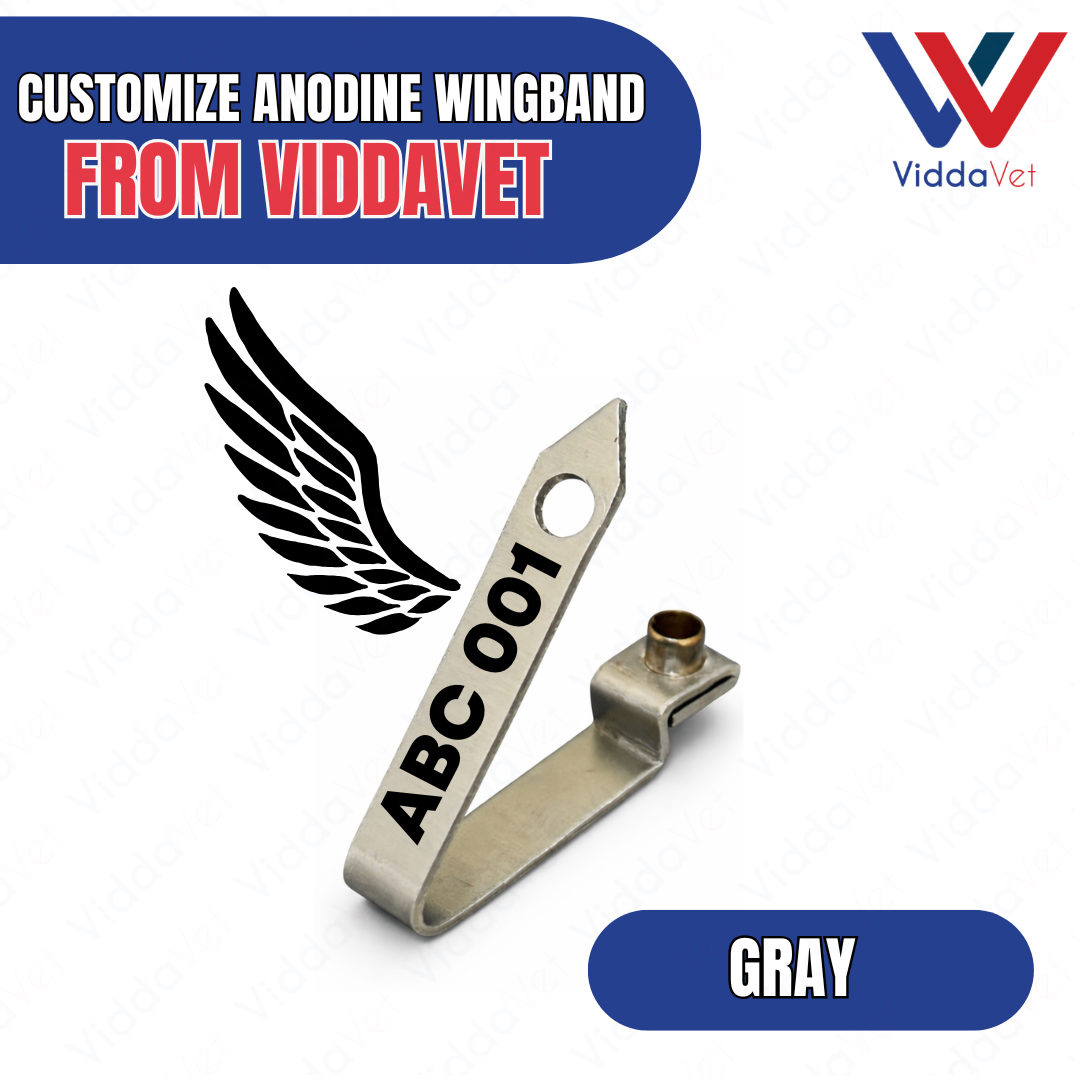 WINGBAND BLANK ANODINE-GREY