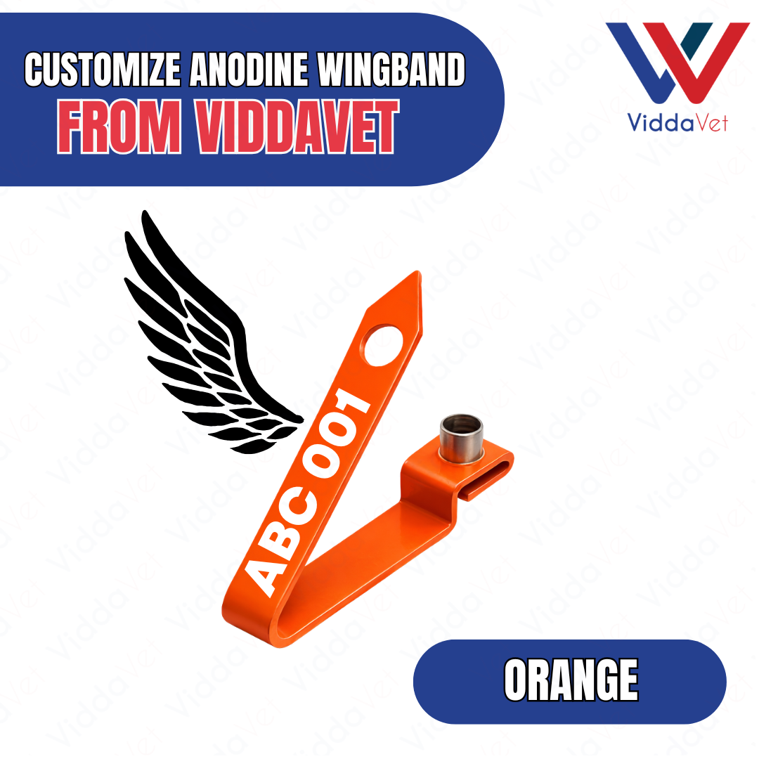 WINGBAND BLANK ANODINE-ORANGE