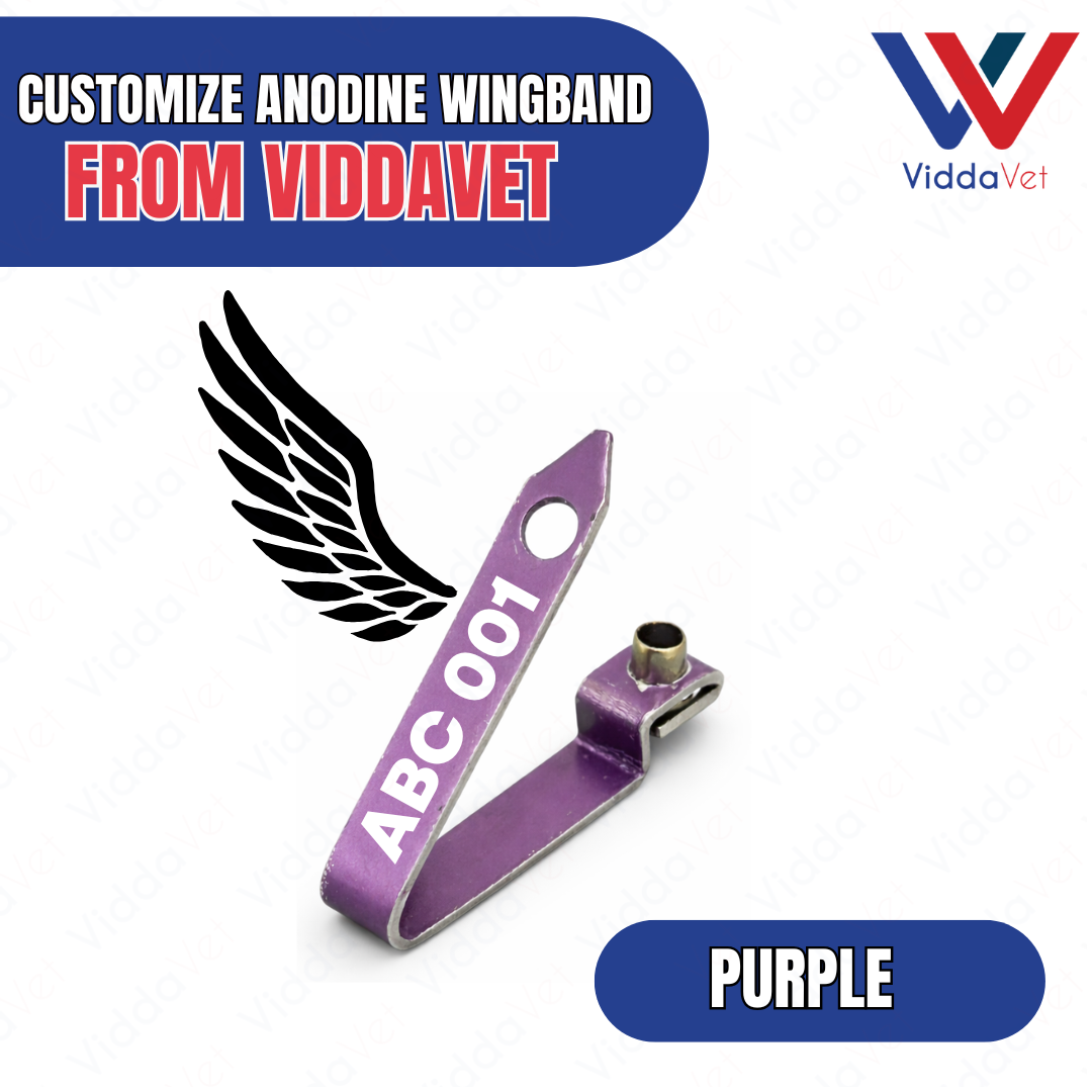 WINGBAND BLANK ANODINE-PURPLE