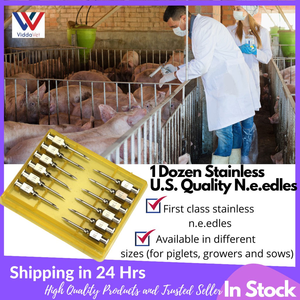 US Quality Stainless Needle 1 Dozen