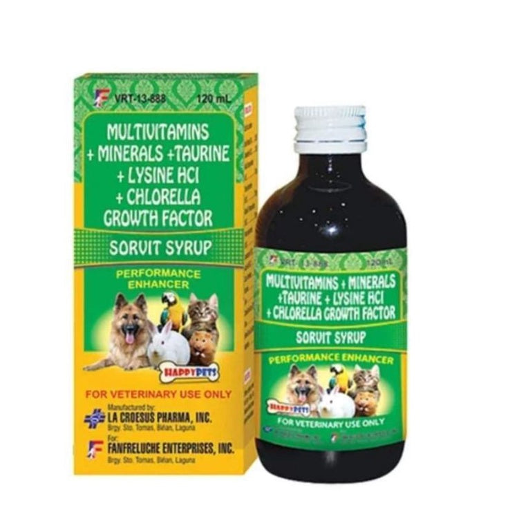 Sorvit Syrup 60ml / 120ml
