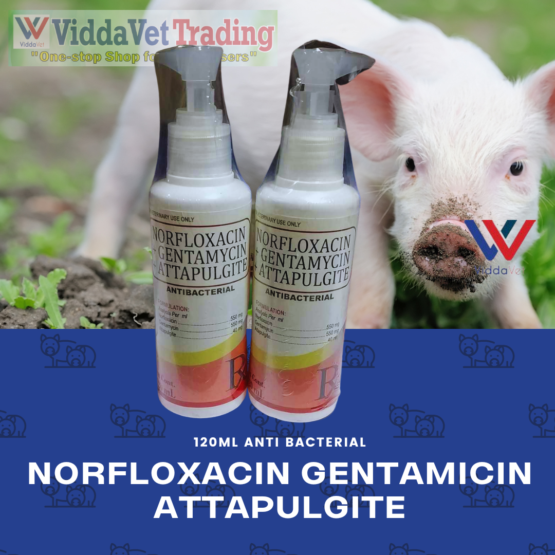Norflox 120ml