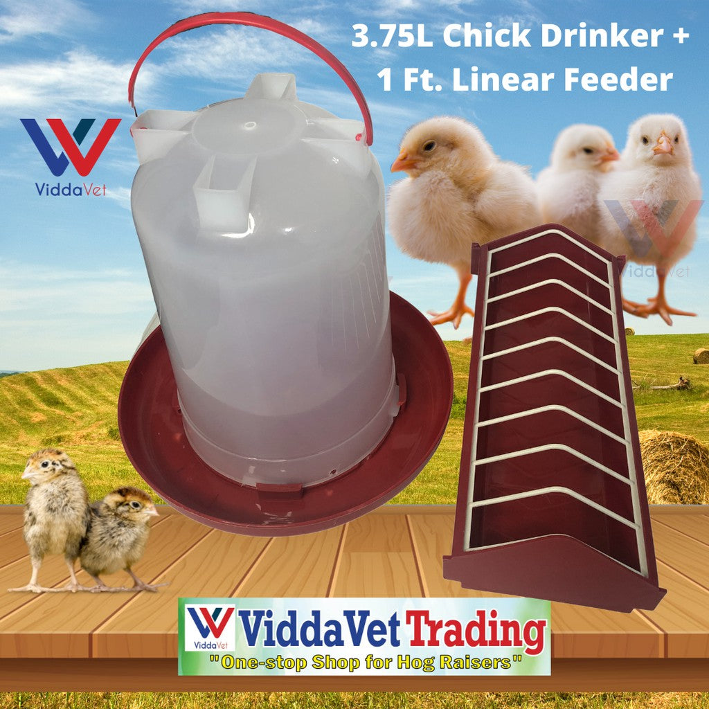 Chick Drinker 3.75L with Continuous Chick Feeder 1ft