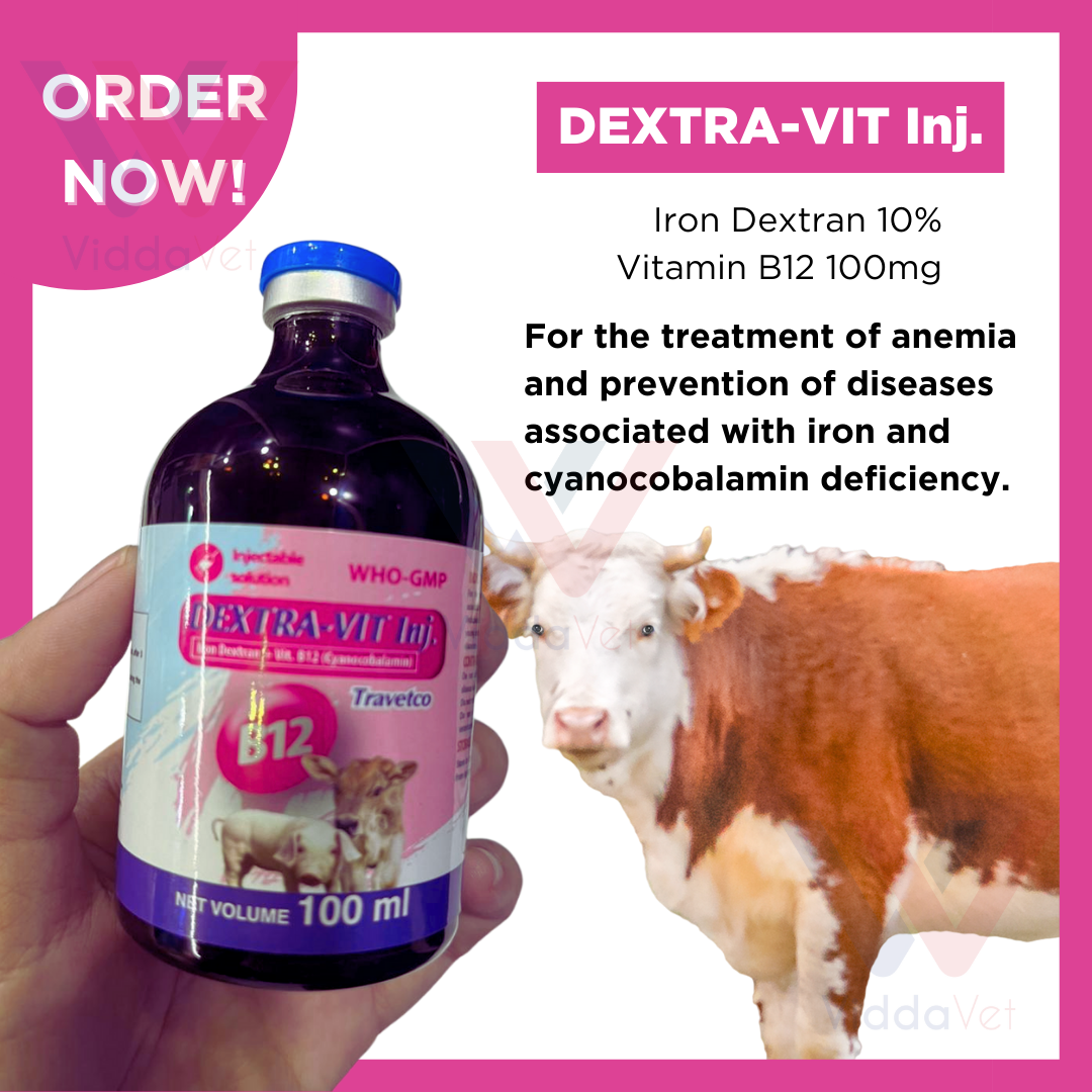 Dextra-Vit Inj. 100ml