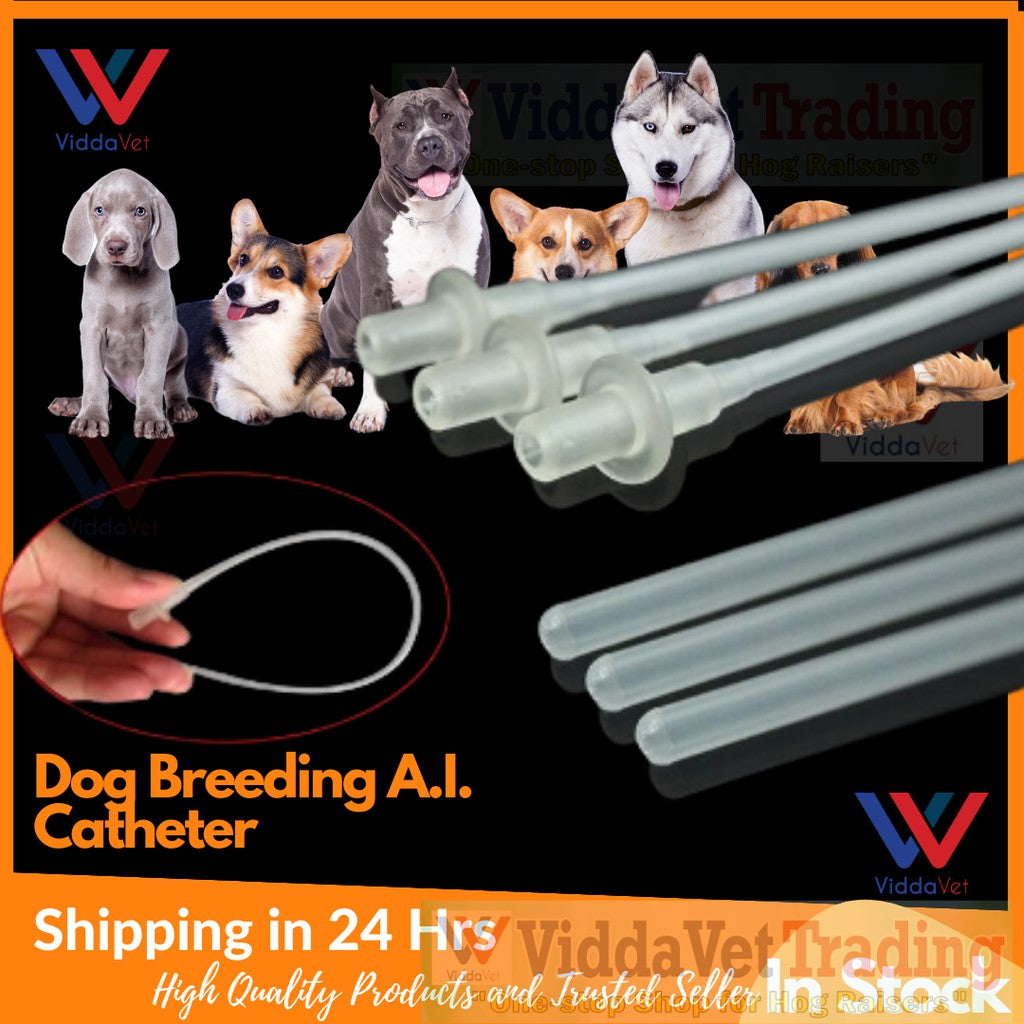 Disposable AI Catheter For Dog 10 Pcs