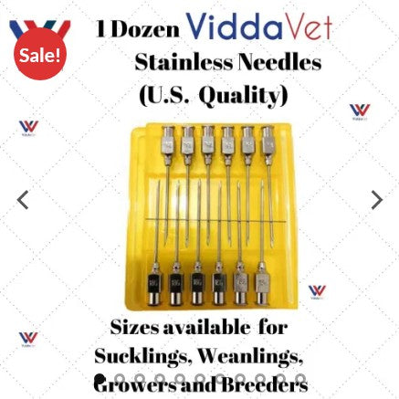 US Quality Stainless Needle 1 Dozen