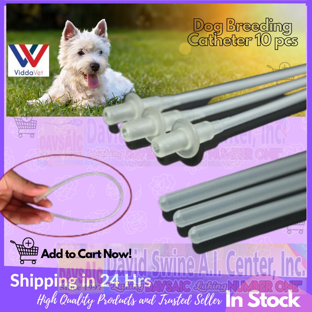 Disposable AI Catheter For Dog 10 Pcs
