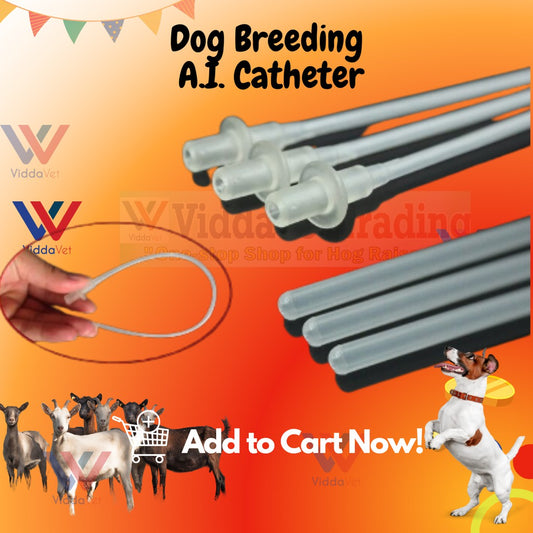Disposable AI Catheter For Dog 10 Pcs
