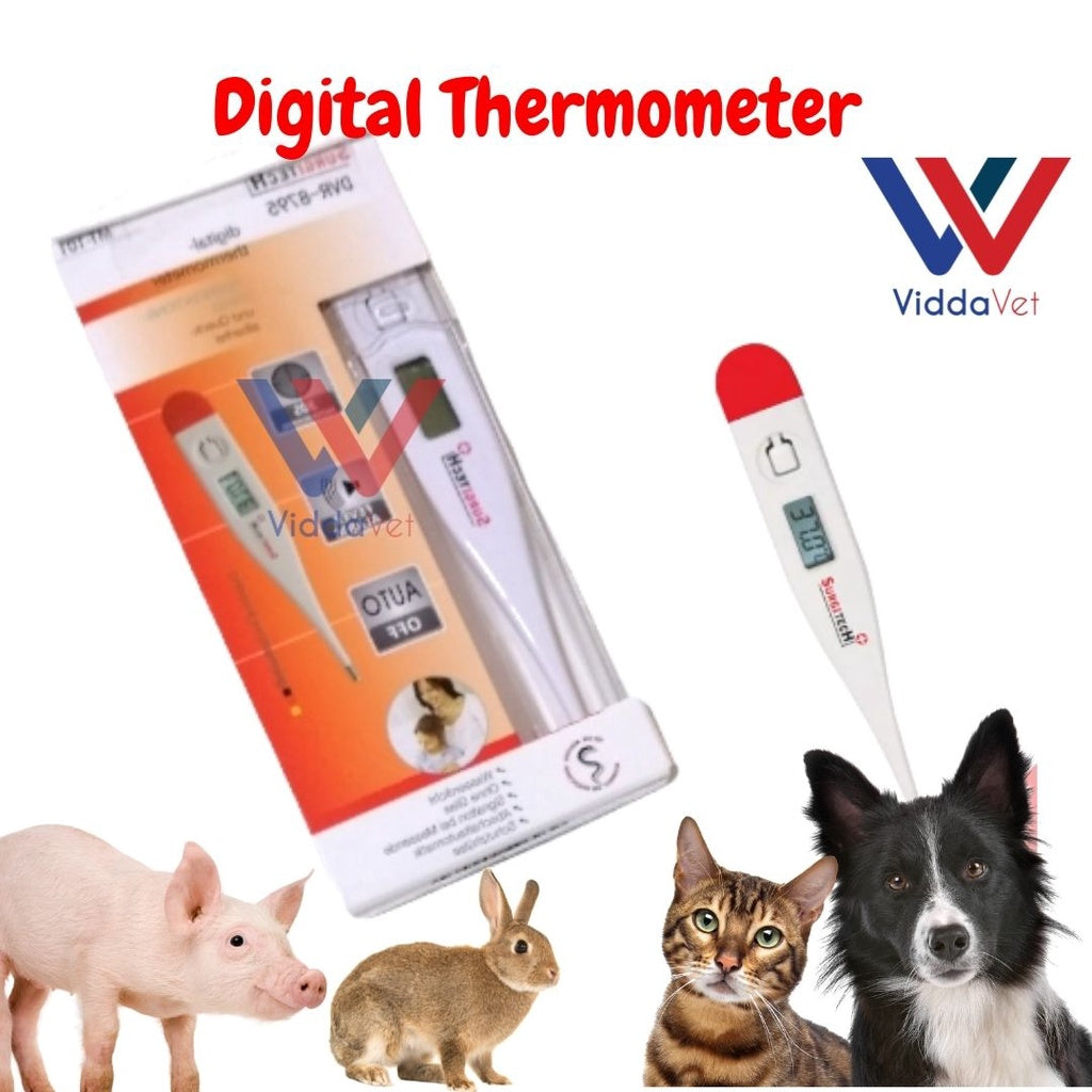 Digital Thermometer