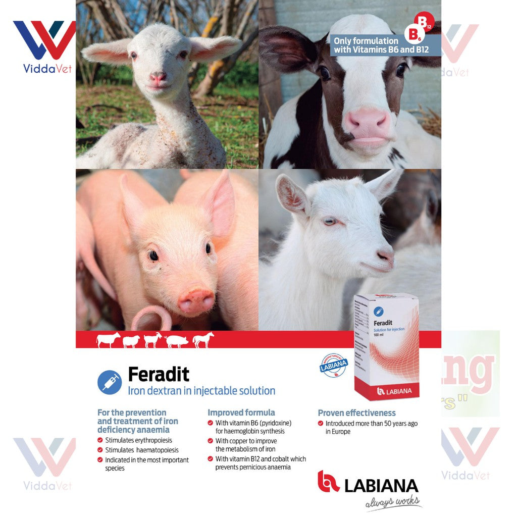 Feradit 100mL