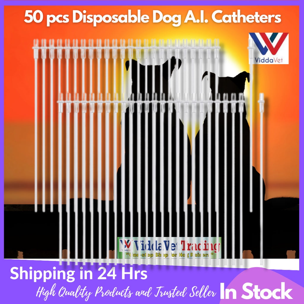 Disposable Artificial Insemination Dog Catheter 50pcs