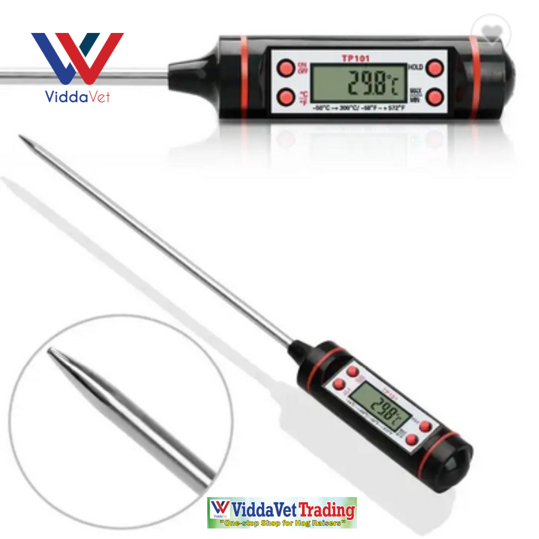Stainless Digital Thermometer