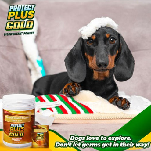 Protect Plus Gold Disinfectant 1kg