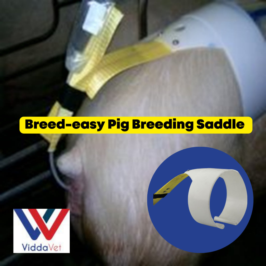 Pig Artificial Insemination Clip Holder A.I Buddy