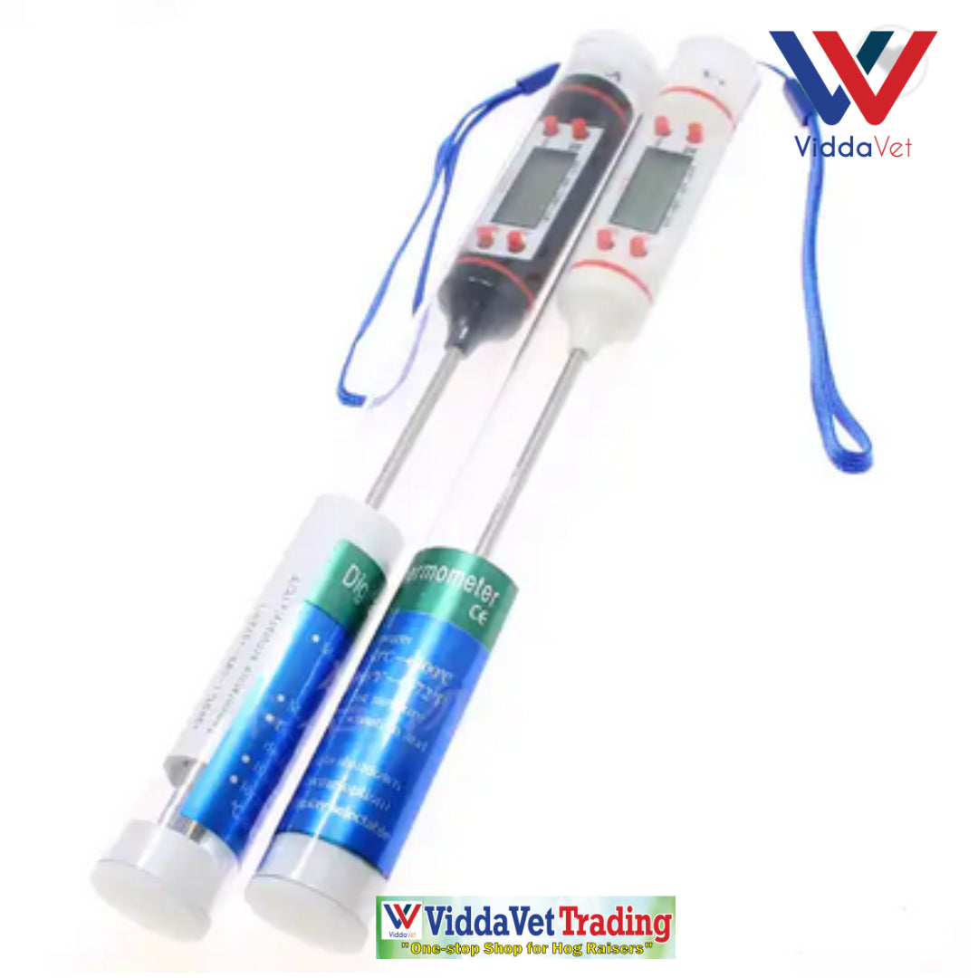Stainless Digital Thermometer