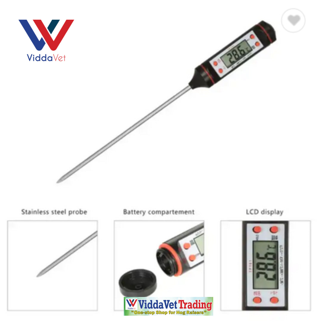 Stainless Digital Thermometer