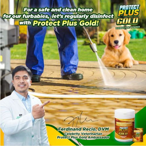 Protect Plus Gold Disinfectant 1kg