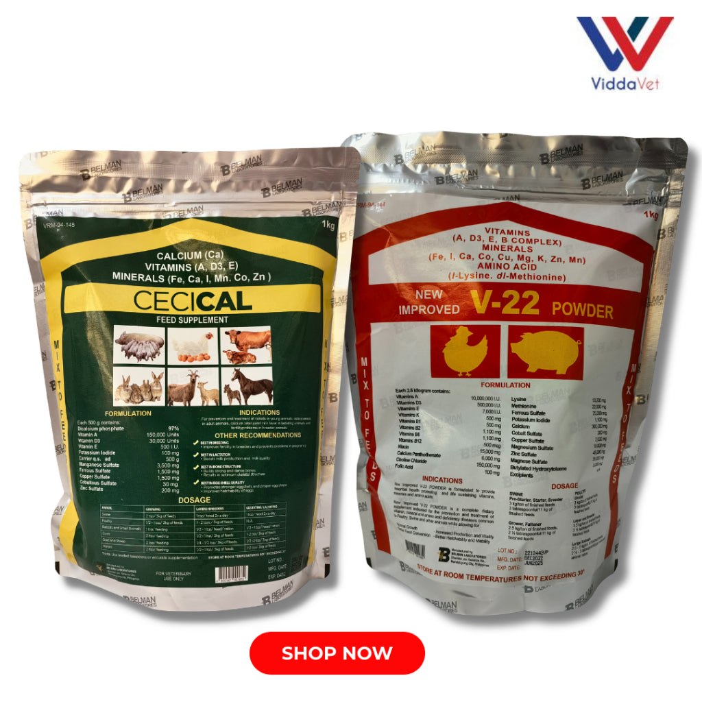 1 kg Cecical + 1 kg V22 powder cecical powder 200g belman products cecical 1kg cecical and v22