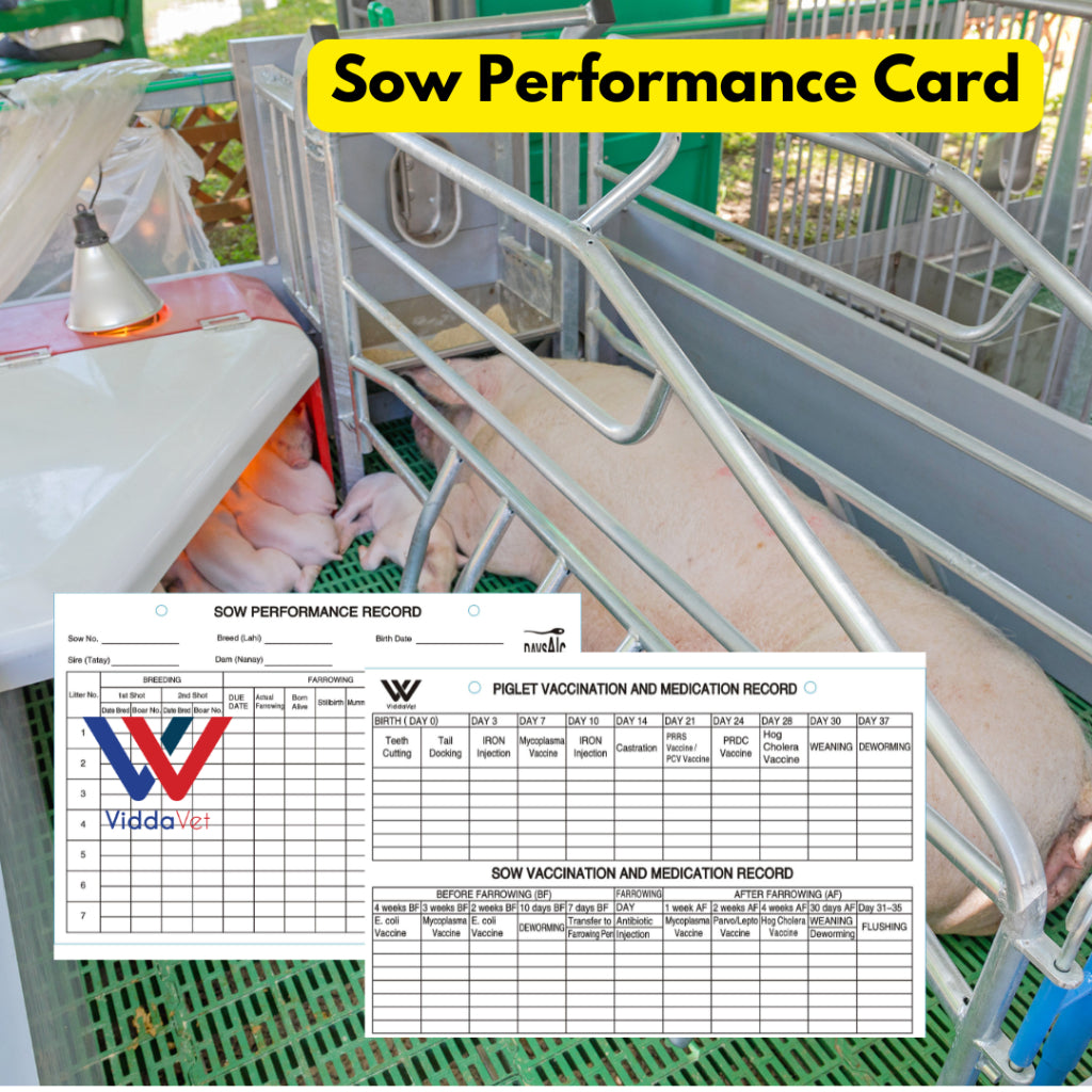 Sow Performance Card PVC