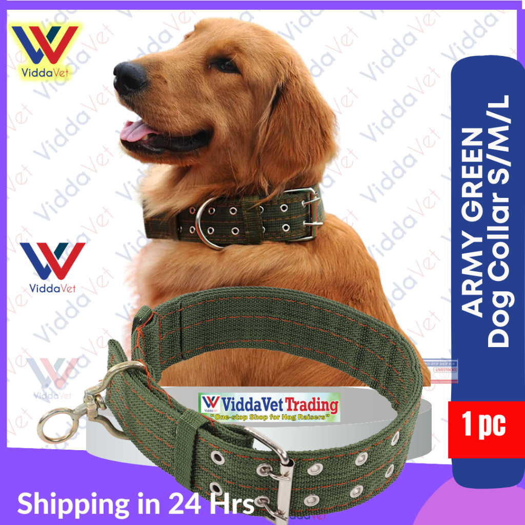 Army Green Dog Collar S/M/L (1pc)