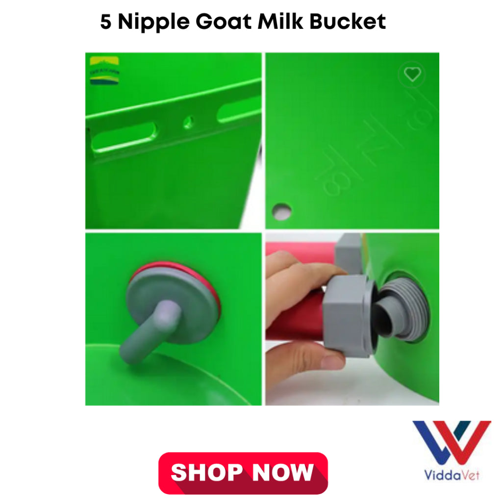 5 Nipples Goat/Sheep Milk Bucket 8L