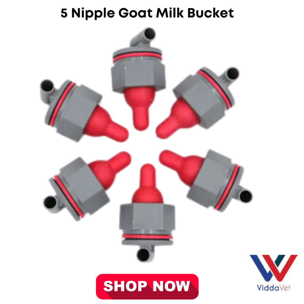 5 Nipples Goat/Sheep Milk Bucket 8L
