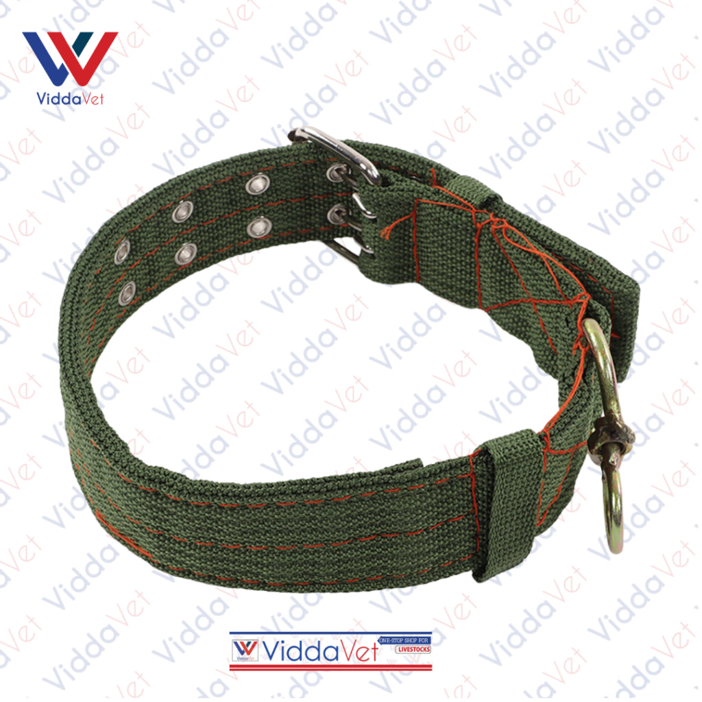 Army Green Dog Collar S/M/L (1pc)