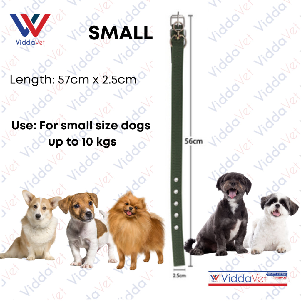 Army Green Dog Collar S/M/L (1pc)