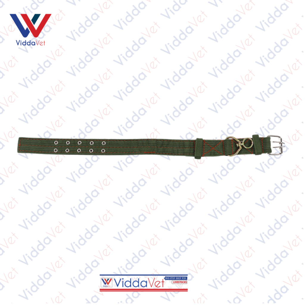 Army Green Dog Collar S/M/L (1pc)
