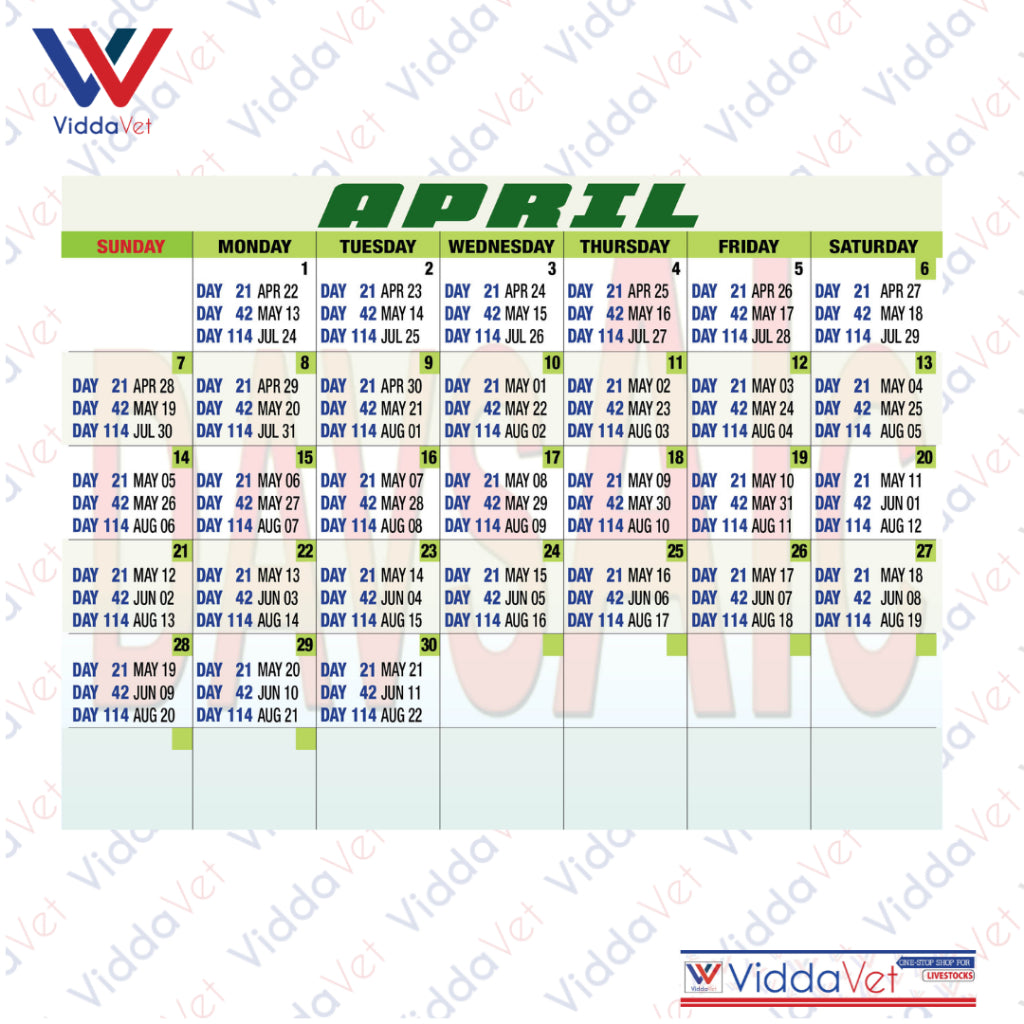 Pig Breeding Calendar 2025