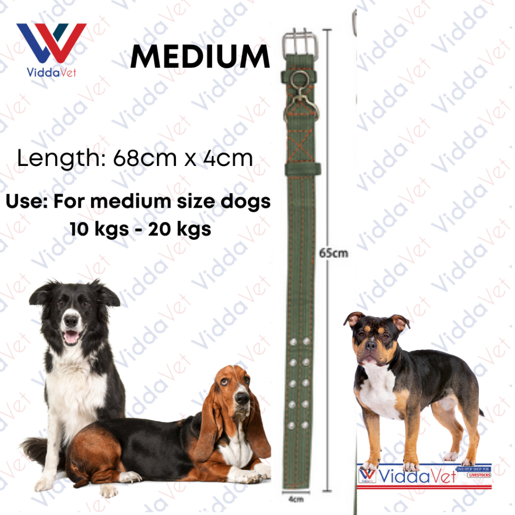 Army Green Dog Collar S/M/L (1pc)