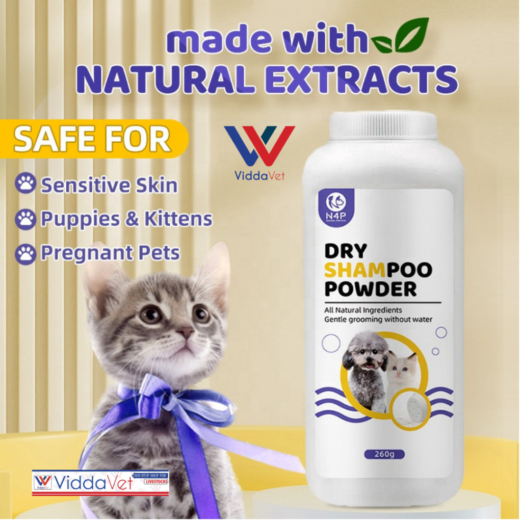 N4P Dry Shampoo 260g