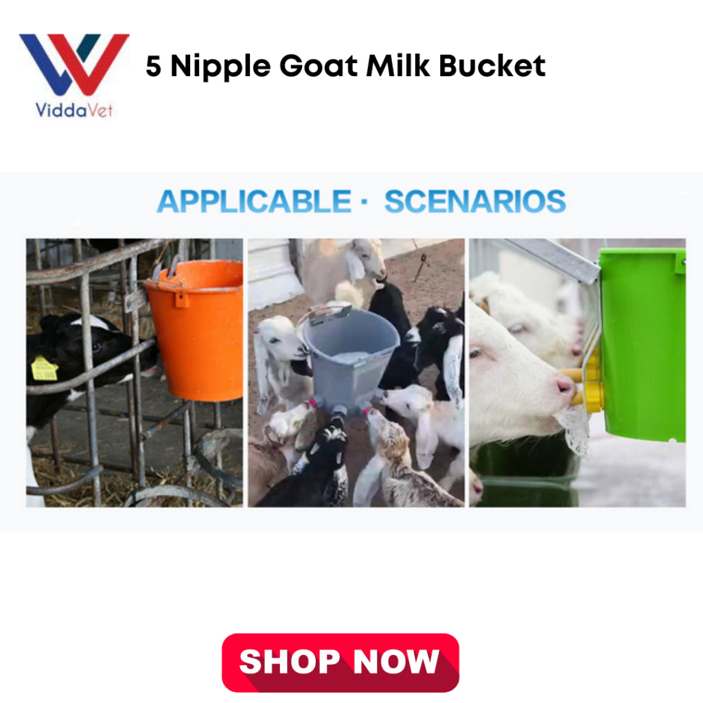 5 Nipples Goat/Sheep Milk Bucket 8L