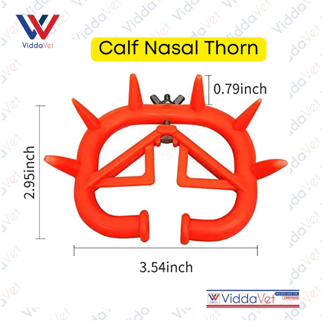 Calf Nasal Thorn