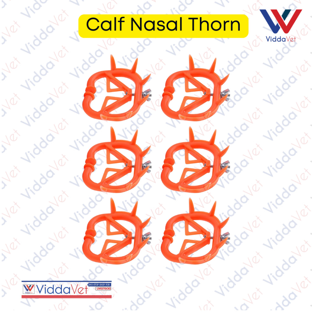 Calf Nasal Thorn