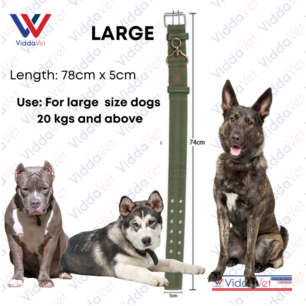 Army Green Dog Collar S/M/L (1pc)