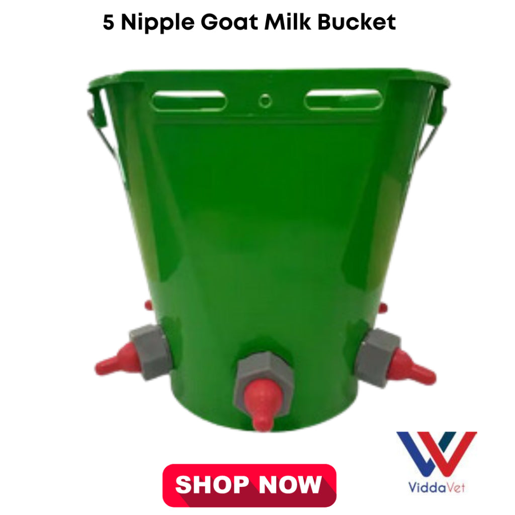 5 Nipples Goat/Sheep Milk Bucket 8L