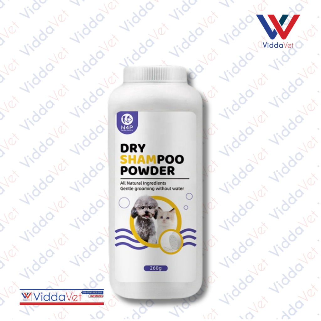 N4P Dry Shampoo 260g