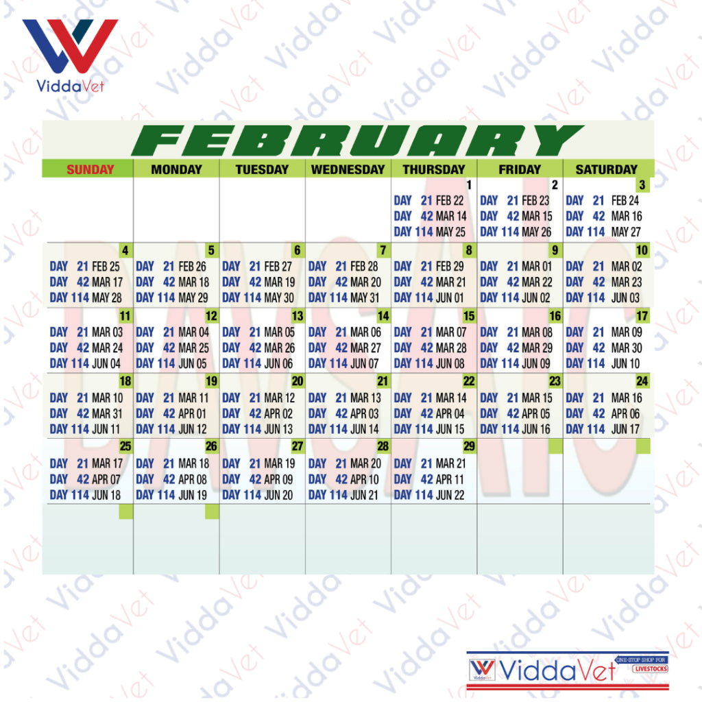 Pig Breeding Calendar 2025