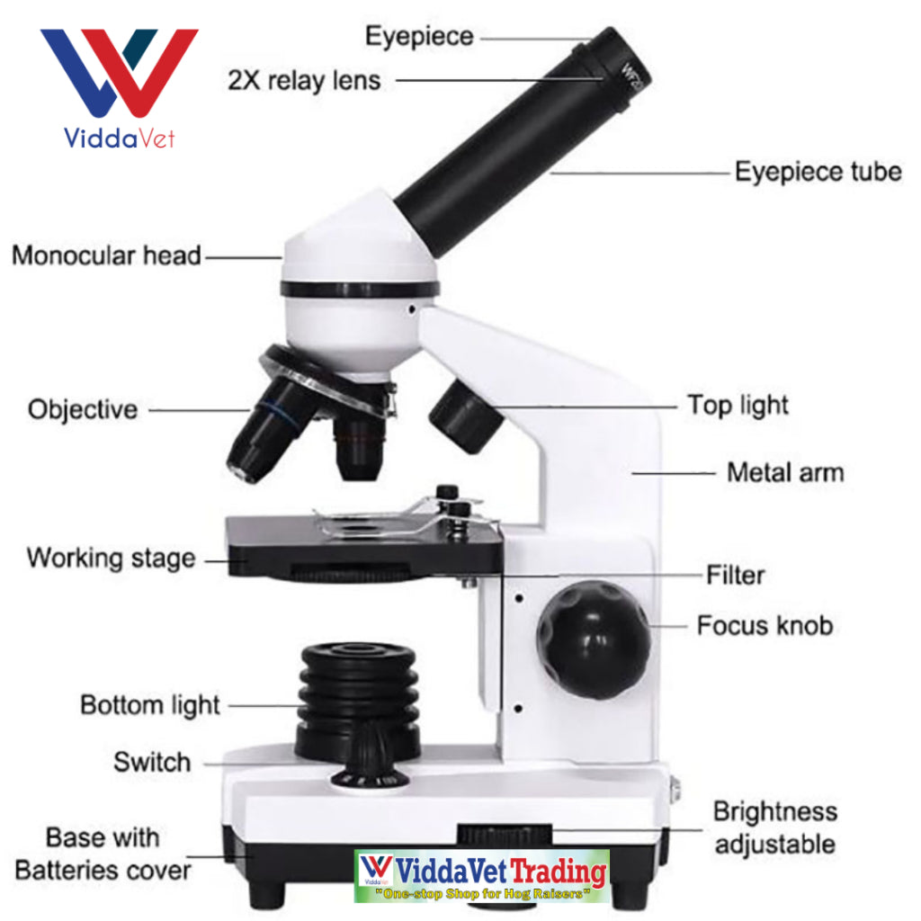 Microscope for Laboratory