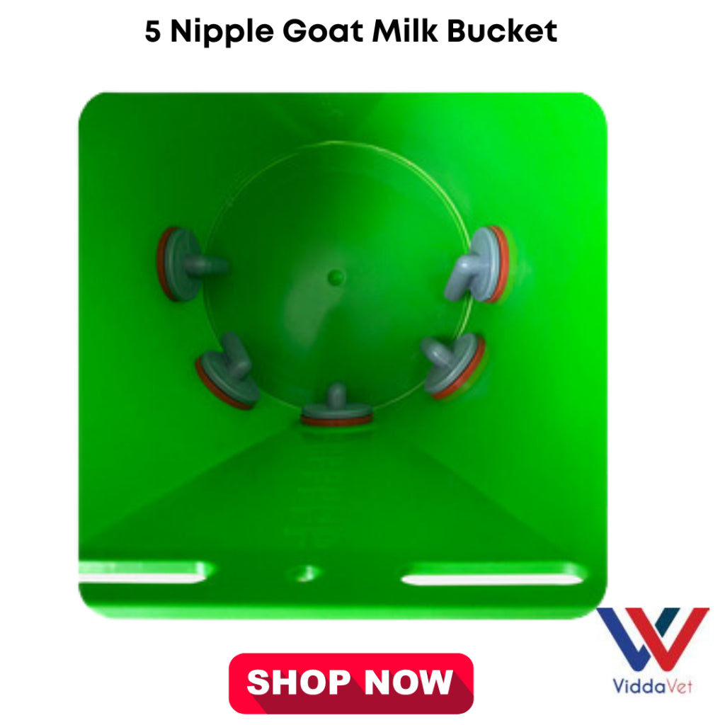 5 Nipples Goat/Sheep Milk Bucket 8L